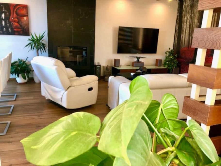 Modern Zen Bali Hotel Пуерто Реал Екстериор снимка
